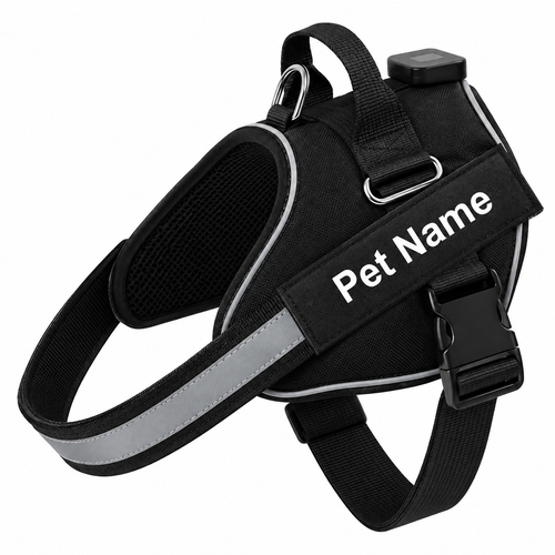 Pawlit™ Light-Up Dog Harness